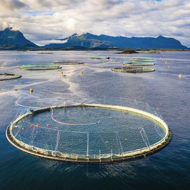 Abb. 1: PFAS können über die Umwelt und Lebensmittel auch in den menschlichen Köper gelangen. Gleichzeitig stellen PFAS aufgrund ihrer hohen Stabilität und Mobilität eine Herausforderung für die Umweltüberwachung dar. (Symbolbild) (Bild: © Stanislav - stock.adobe.com)