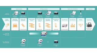 Das Workflow-Diagramm zeigt, wie die Liquid-Handling-Lösungen von Integra jeden Schritt der NGS-Vorbereitung rationalisieren und die Effizienz der NGS-Bibliotheksvorbereitung optimieren können. (Bild: Integra Biosciences)