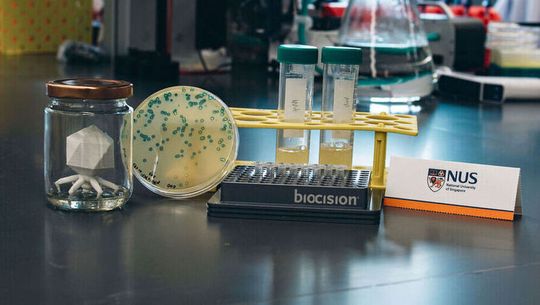 E. coli cultures and other experimental materials used in the study, shown with a 3D-printed model of the engineered phage (extreme left).(Source:  National University of Singapore)