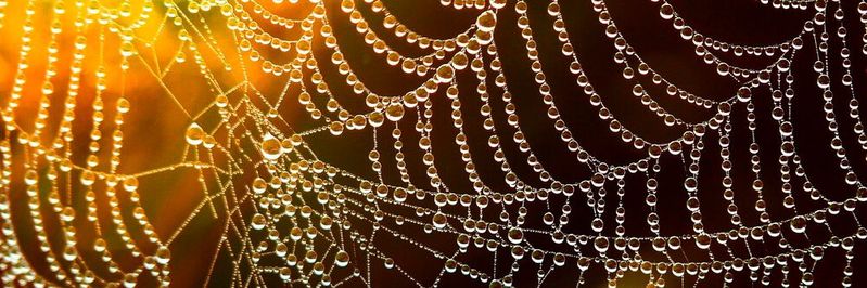 Lieferketten sind fragile Gebilde, doch man kann sie gezielt stärken.(Bild:  gemeinfrei /  Pixabay)