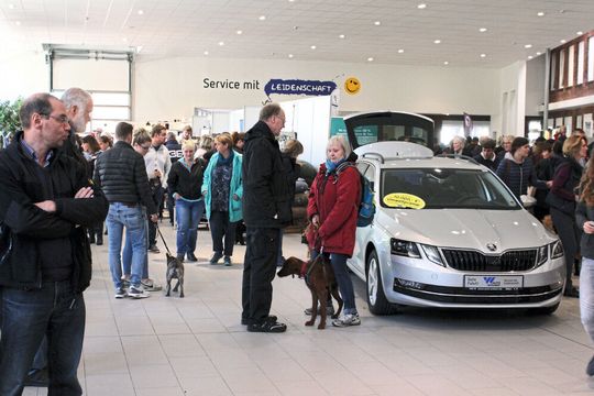 Zur ersten Hamburger Hundemesse bei Auto Wichert in Hamburg strömten gut 6.000 Besucher.(Bild:  Agentur atw)