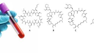 Abb. 1: Struktur der Immunsuppressiva Cyclosporin-A (A), Everolimus (B), Sirolimus (C), Tacrolimus (D). Diese Immunsuppressiva werden häufig nach Organtransplantationen verabreicht – ihre Blutspiegel müssen regelmäßig überwacht werden. (©Alexander Raths - stock.adobe.com; Shimadzu Deutschland)