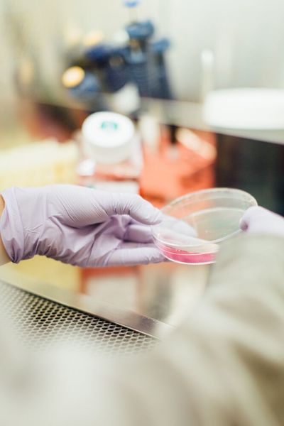 The Bielefeld-based company Xell develops, produces and markets culture media for cell cultures. (Public Domain)