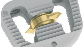 LorX Cervical PEEK Cage mit Flügeln (Bild: Evonik)