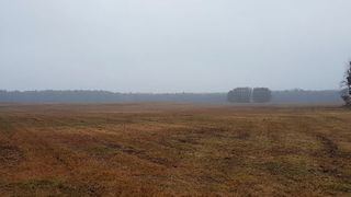 50 Kilometer westlich von Berlin, umgeben von Äckern und Wäldern, liegt die unscheinbare Stadt Friesack. Doch dort gibt es jetzt IoT. (Bild: Christoph Köpernick)