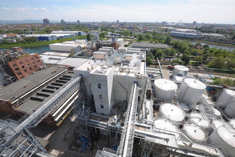 Die Rapssaat durchläuft einen Pressprozess, aus dem der Presskuchen und das Pressöl hervorgehen, das zwei Drittel des wirtschaftlich vertretbaren Ölertrags aus dem Saatgut ausmachen. (Bild: Bunge Deutschland)