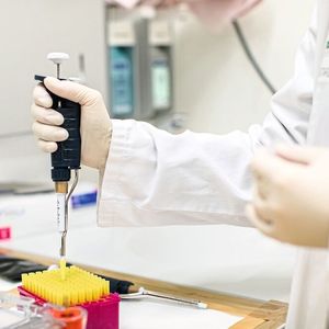 Vergleich von Proben, die an Orten mit unterschiedlich strengen Hygienevorschriften entnommen wurden