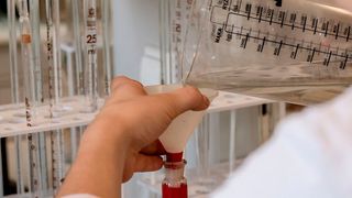 Die Universität Bayreuth bietet den Masterstudiengang „Global Food, Nutrition and Health“ an. (Bild: gemeinfrei)