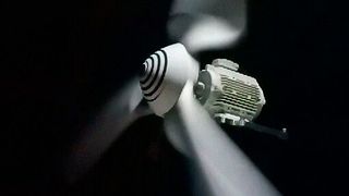 Kleinwindräder für Privathaushalte und kleinere Gewerbetreibende rücken stärker in den Fokus. Und wer sich mit Kunststoffen auskennt, der kann sie so leicht bauen, dass sie auch bei einer schwachen Brise recht viel Strom erzeugen, wie man am Fraunhofer-IAP weiß. Hier mehr dazu ... (Bild: Fraunhofer-IAP)