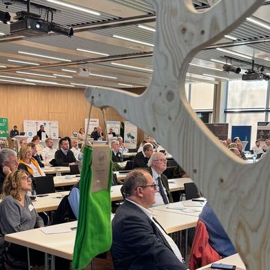 Blick ins Auditorium der HPE-Herbsttagung 2025 mit Sockenbaum im Vordergrund. (Bild: HPE)