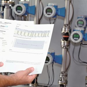 (Bild: Endress+Hauser)