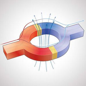 (Bild: Nature magazine)