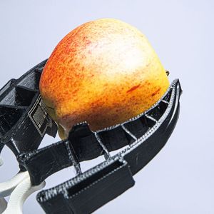 Robotergreifer mit haptischen Fähigkeiten können Äpfel und anderes Obst künftig schonender fassen und sortieren. Dabei passt sich der im Projekt BioGrip entwickelte Greifer der Apfelform an.(Bild:  Fraunhofer IWS)