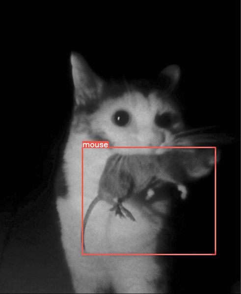 Identifizierung der Beute. (Bild: ETH Zürich / Flappie Technologies)