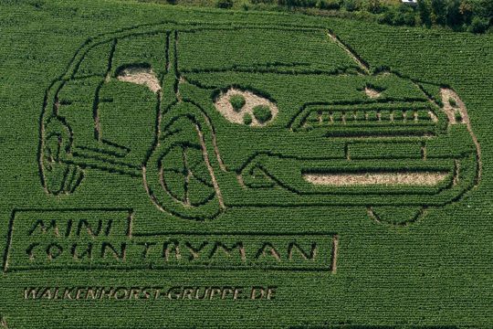 Ein Mini im Maisfeld – bei der aufwendigen Marketingaktion der Walkenhorst-Gruppe darf der Hinweis auf die Internetseite natürlich nicht fehlen. (Foto: Walkenhorst)