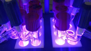 Diesen Versuchsaufbau nutzen Chemiker für photochemische Reaktionen. (Peter Bellotti )