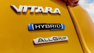 Die KBA-Statistik bietet bei den Hybriden seit Jahresbeginn eine Untergliederung in Plug-in-, Voll- und Mildhybrid. (Suzuki)
