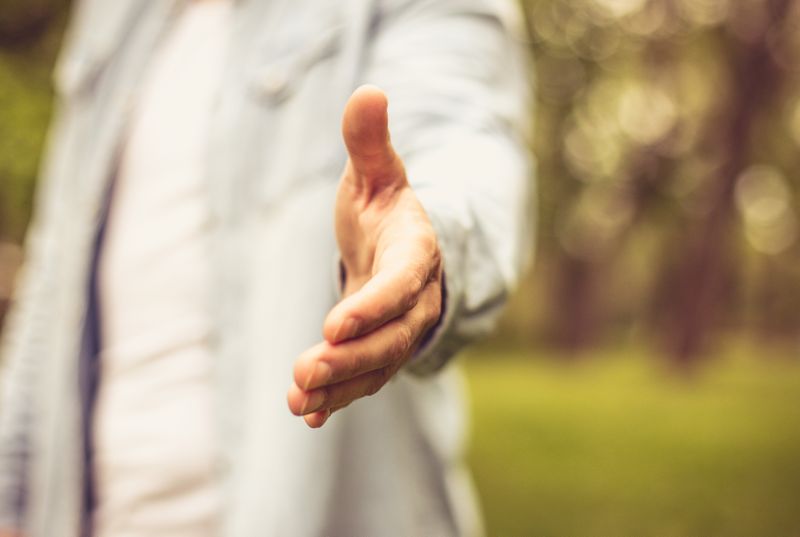 (Quelle:  Mladen Zivkovic/Shutterstock)