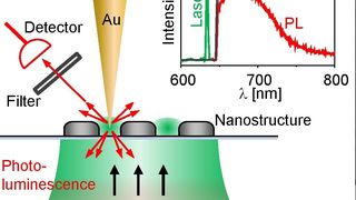 Zeichnung des Messprinzips: Eine scharfe Goldspitze wird über die zu untersuchende Struktur gerastert, während die rot verschobene Lumineszenz der Goldspitze detektiert wird. (Bild: Uni Tübingen)