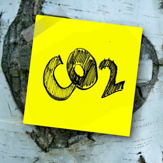 Photosynthesis is the scientific term for the process in which plants convert – or “fix” – CO2 into the sugars they use for growth and metabolism. Photosynthesis is the scientific term for the process in which plants convert – or “fix” – CO2 into the sugars they use for growth and metabolism.