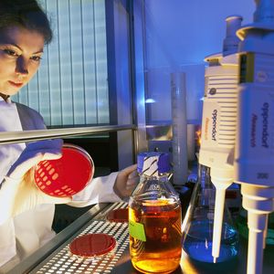 (Bild: Thomas Ernsting/LAIF)