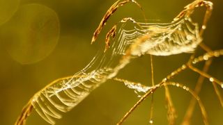  (Bild: Martin Jäger/pixelio.de)