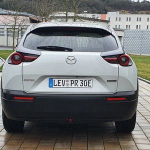 Die Fenster im Fonds sind generell etwas schmal geraten. Das erschwert die Aussicht.(Bild:  Mauritz/»kfz-betrieb«)