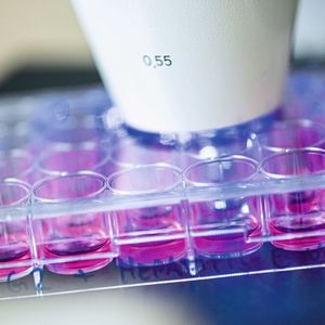 (© Damian Gorczany, Ruhr-Universität Bochum)