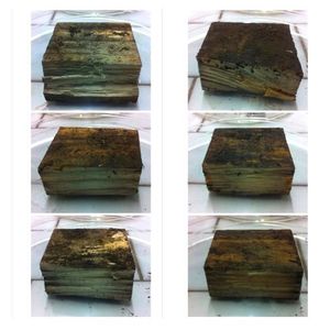 (Judith Ascher-Jenull)