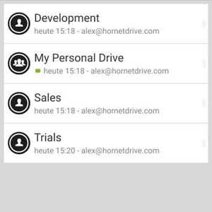 (Bild: HornetSecurity)