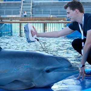 Zu diesem Zweck mussten Hopkins und sein Team zunächst bei jedem Tier präzise Messungen zur Körperkontur und zum Körperaufbau durchführen. Sie nutzten dafür den tragbaren 3D-Scanner Artec Eva.