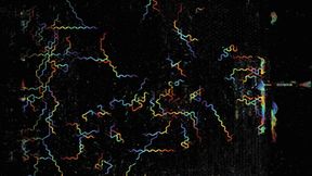 Farbcodierte Spuren der Bewegung von Dutzenden Fadenwürmern (C. elegans), die sich frei über ein mehr als 5,2 cm² großes Sichtfeld bewegen (die Farbe zeigt den zeitlichen Verlauf). (Bild:  University of California, Berkeley)