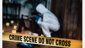 Arctic Wolf-WB-Cover (Canva - microgen von Getty Images)