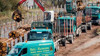 Die Rhenus-Gruppe integriert jetzt die Bruno Reimann GmbH & Co. KG (Spezialfahrzeuge davon im Bild). Rhenus will sich damit mehr Kompetenzen in puncto Holzlogistik ins Haus holen. (S. Rustenbach)