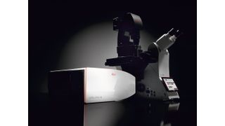 Das System Stellaris 5 ist Teil der neuen konfokalen Mikroskopie-Plattform Stellaris von Leica Microsystems. (Leica Microsystems)