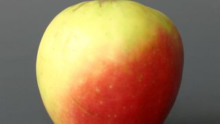 Herkömmliches Brainstorming gebiert selten echte Geistesblitze. Besser ist es, nach der Apfel-Methode zu verfahren.  (Bild: MM-Archiv)