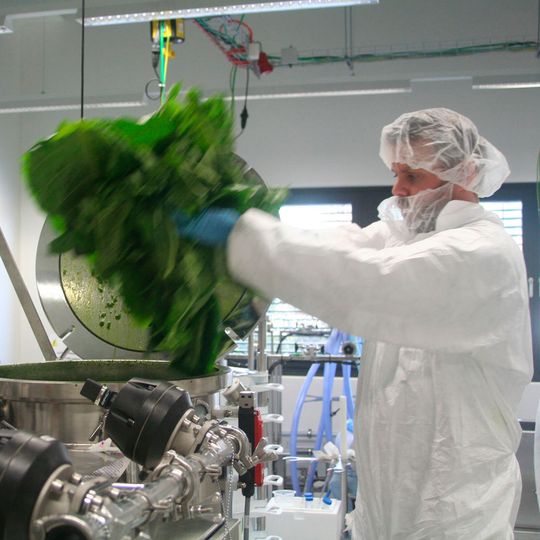 (Bild:  Fraunhofer/Deutsche Messe)