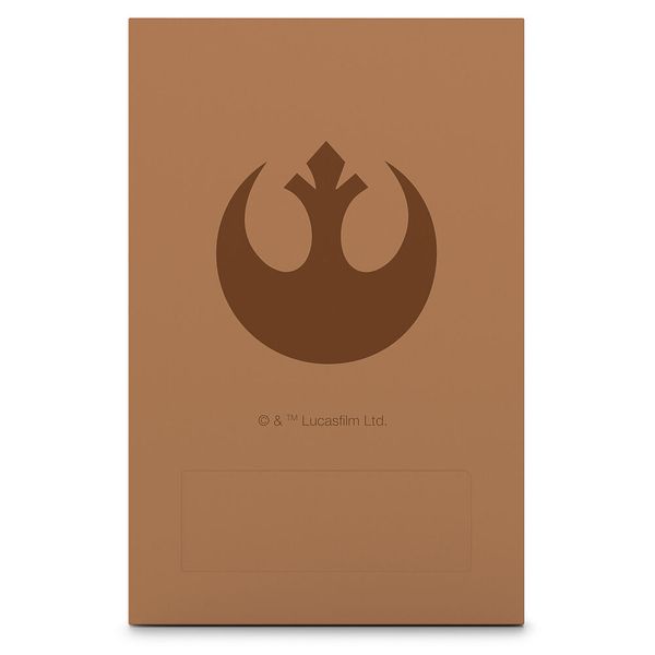 Die Rückseite der Luke-Skywalker-Platte. (Bild: Seagate)