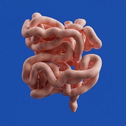 A team of Northwestern Medicine scientists have developed an AI tool that rapidly and successfully measures colonoscopy quality by reviewing footage of the procedure. (Source:  Unsplash)