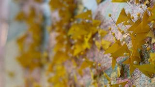 Mittels Echtzeit-Lokalisierung und eines Digital Twin können Unternehmen gleich mehrere Ziele synchron erreichen. (Bild: gemeinfrei)