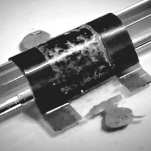 (Universität Hamburg/Tomke Glier)