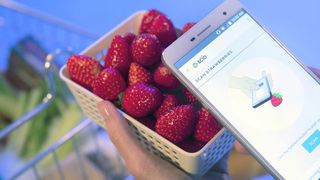 Der SCiO-Molekularscanner kann den Reifegrad oder die Frische von Früchten erkennen. (Changhong)