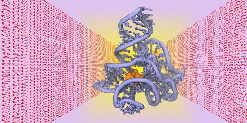 Die räumliche Struktur von Biomolekülen wie Proteinen, DNS oder RNS ist entscheidend für ihre Funktion als „molekulare Maschinen“ in der Zelle. (Bild: Alexander Schug/KIT)