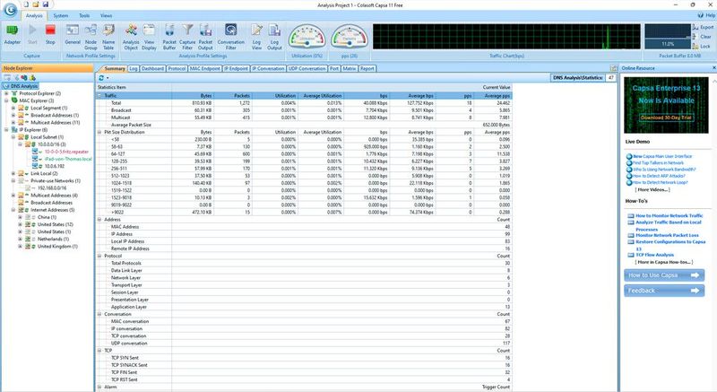 Capsa Free bietet für ein kostenloses Tool durchaus umfassende Analyse-Möglichkeiten. (Bild: Joos - Colasoft)