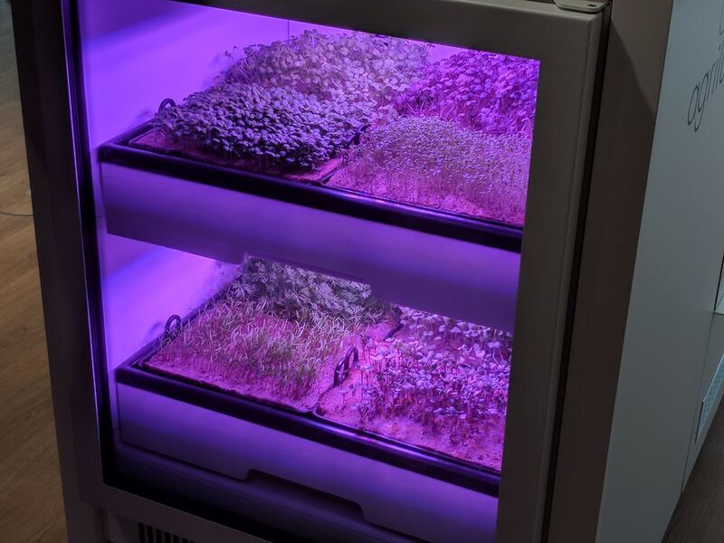 Immfer frisches Gemüse dank spezieller LED-Leuchten: Mit dem Projekt Agrilution unterstützt Fluxunit ein Start-up-Unternehmen. (ELEKTRONIKPRAXIS)