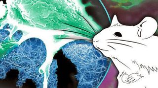 Auf einem stabilen Bionetzwerk (blau) können Nervenzellen (grün) wachsen und haften, um so die Heilung eines durchtrennten Nervs zu unterstützen.  (MPI-P / CC BY-SA)