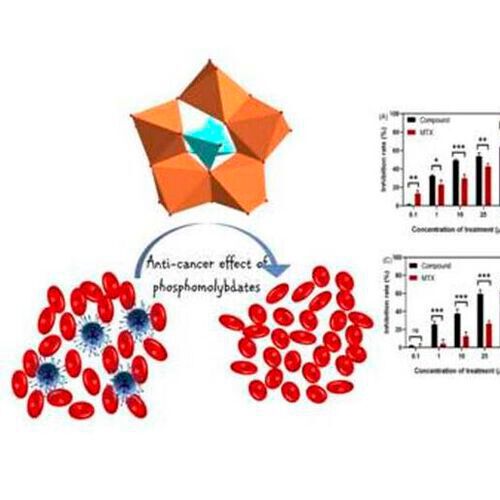 The compound synthesised by the INST team could open new avenues for antitumor applications. The compound synthesised by the INST team could open new avenues for antitumor applications.