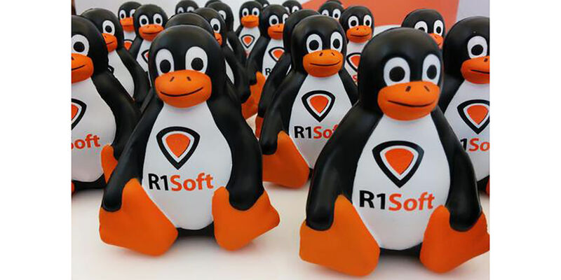 Mit dem Server Backup Manager 5.1 bietet R1Soft eine neue Version seiner kommerziellen Backup-Software für Hosting-Anbieter an.