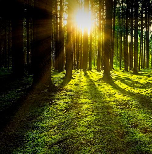 People who lived near more green spaces were biologically 2.5 years younger, on average, than those who live near less greenness. People who lived near more green spaces were biologically 2.5 years younger, on average, than those who live near less greenness.