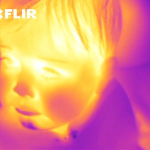 (FLIR)